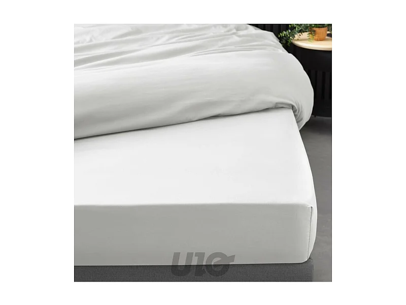 Drap Housse "Percaline" 160x200cm White