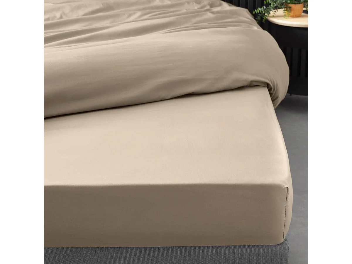 Drap Housse "Percaline" 90x190cm Sable