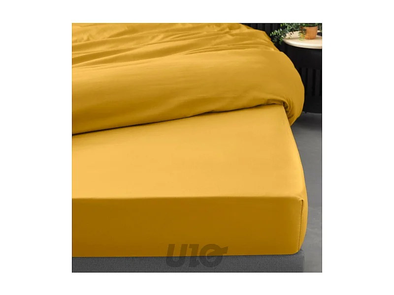 Drap Housse "Percaline" 140x190cm Curry