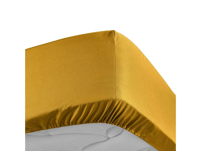 Drap Housse "Percaline" 140x190cm Curry