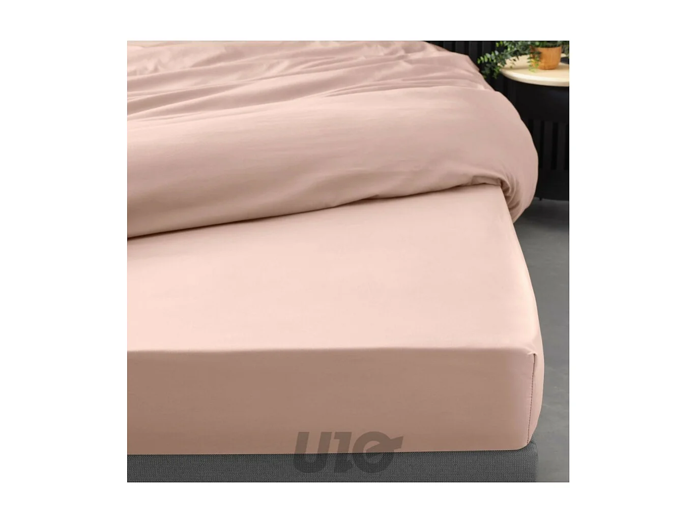 Lençol de Cama em Percal 160x200cm Nude - Macio e Confortável, Certificado Oeko-Tex, 100% Algodão