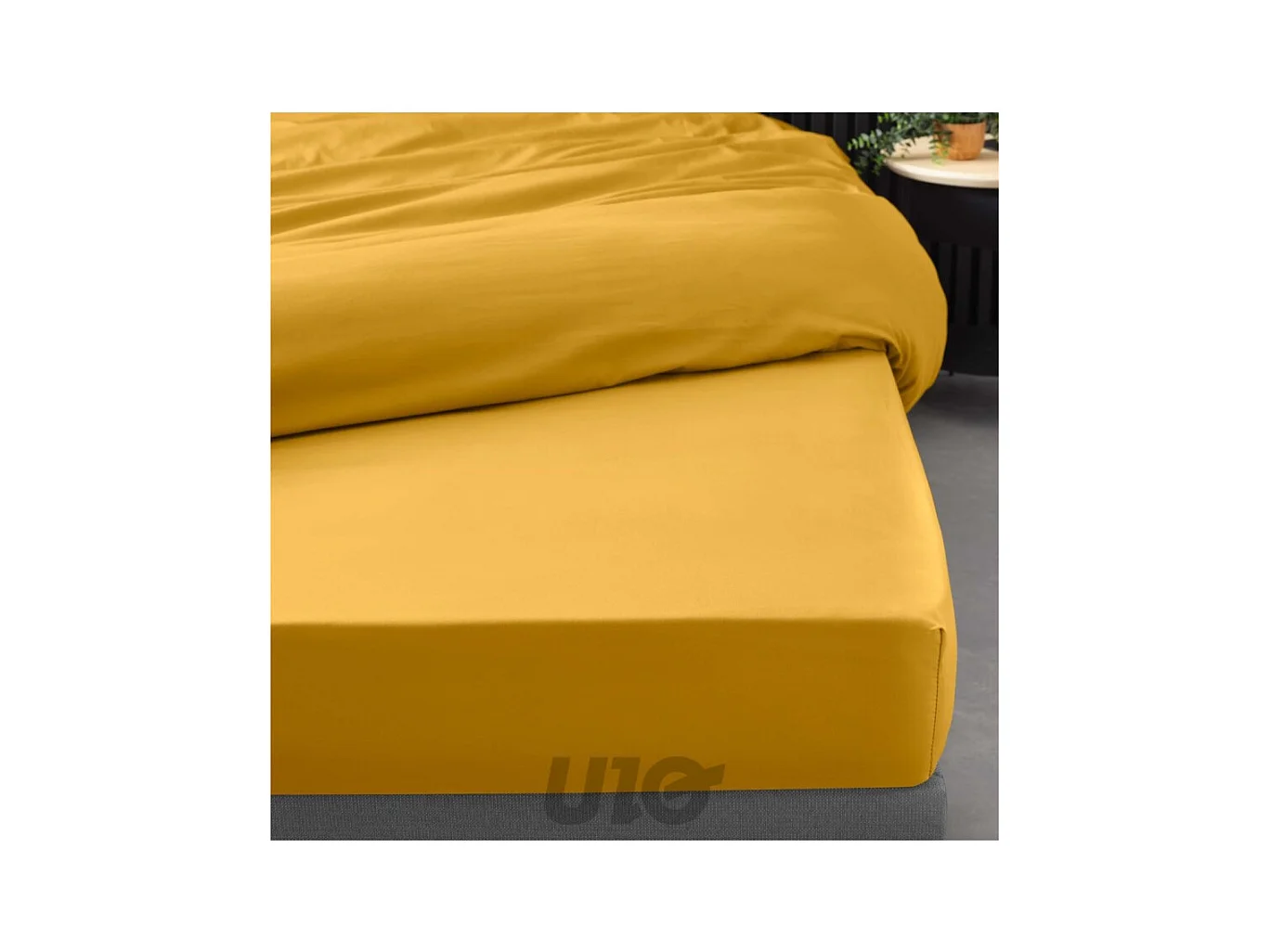 Drap Housse "Percaline" 90x190cm Curry