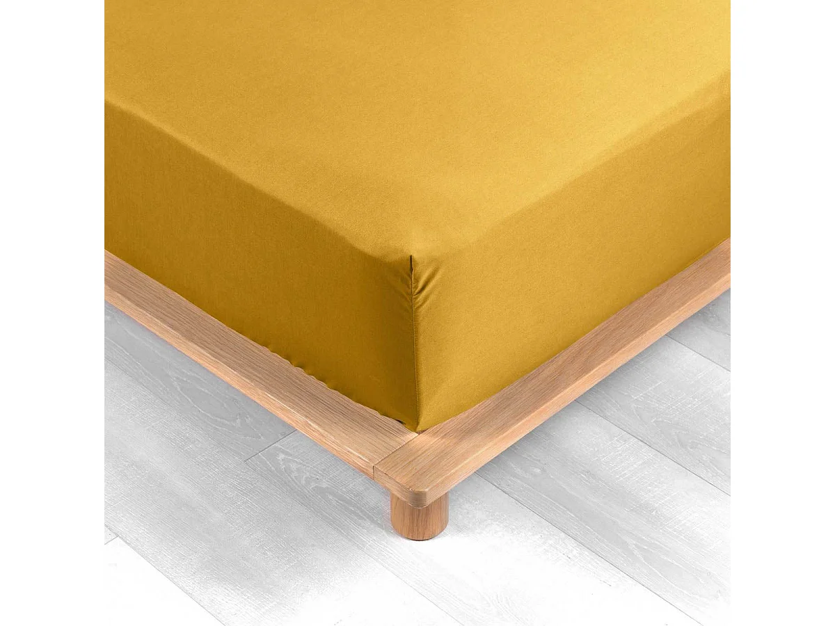 Drap Housse "Percaline" 90x190cm Curry