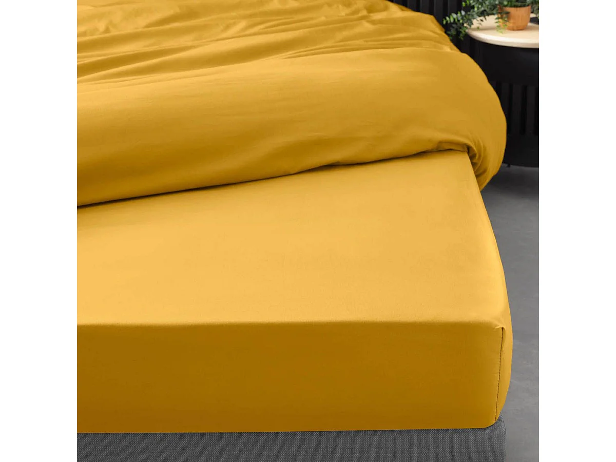 Drap Housse "Percaline" 160x200cm Curry