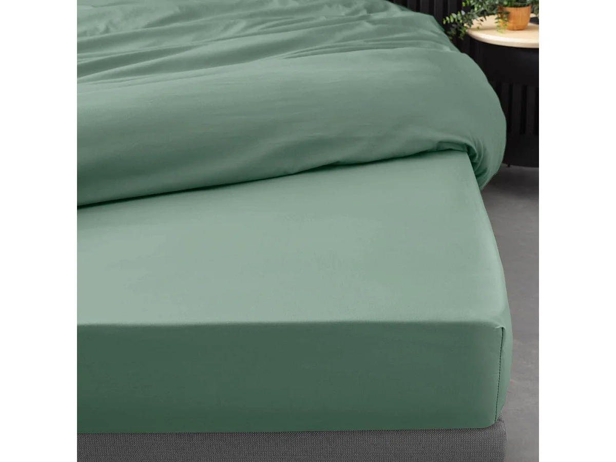 Drap Housse "Percaline" 140x190cm Tilleul