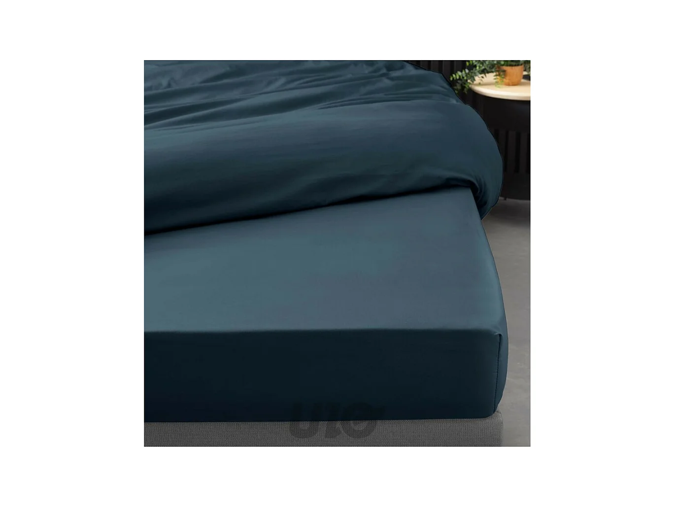 Drap Housse "Percaline" 160x200cm Bleu Nuit