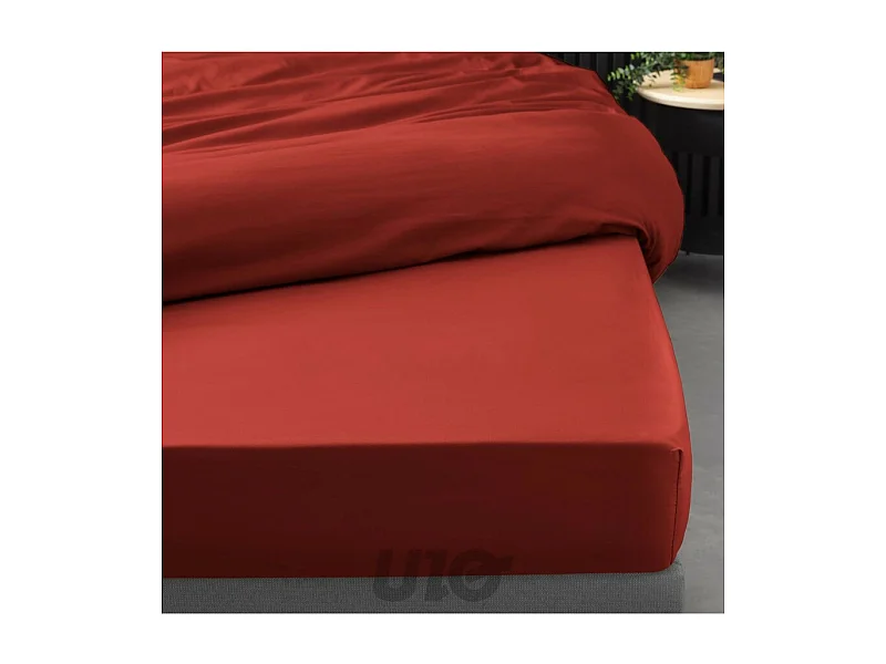 Drap Housse "Percaline" 180x200cm Tomette