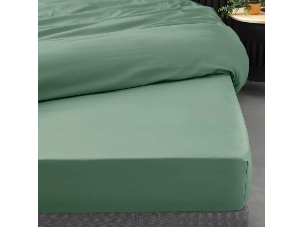 Drap Housse "Percaline" 180x200cm Tilleul