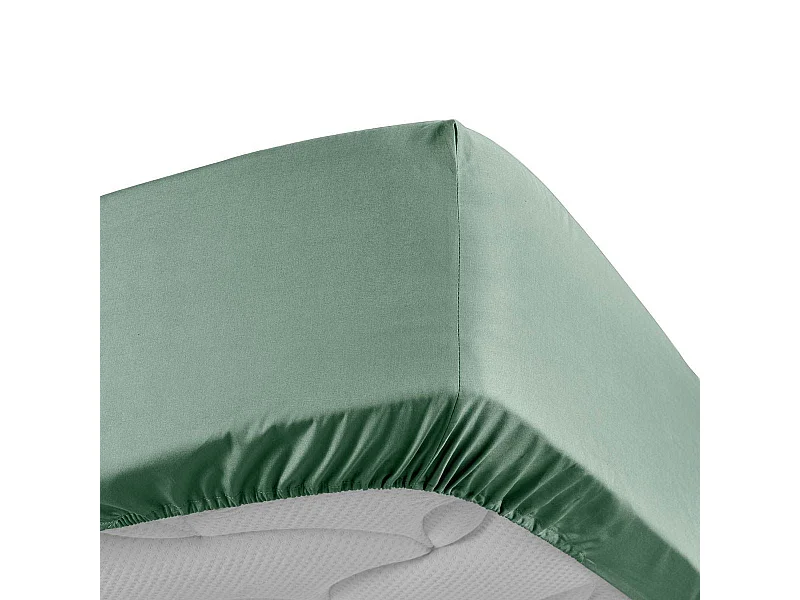 Drap Housse "Percaline" 180x200cm Tilleul