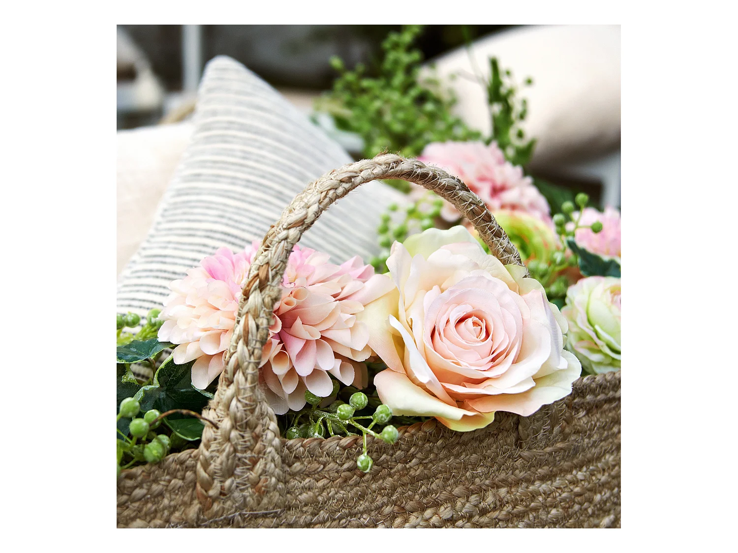 Tige de Rose Diane - Rose