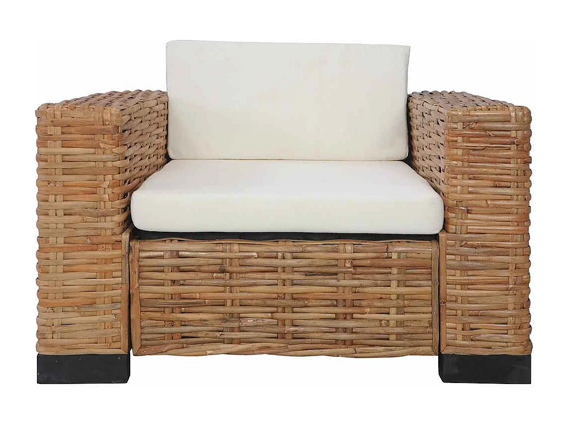 Fauteuil met kussens natuurlijk rattan