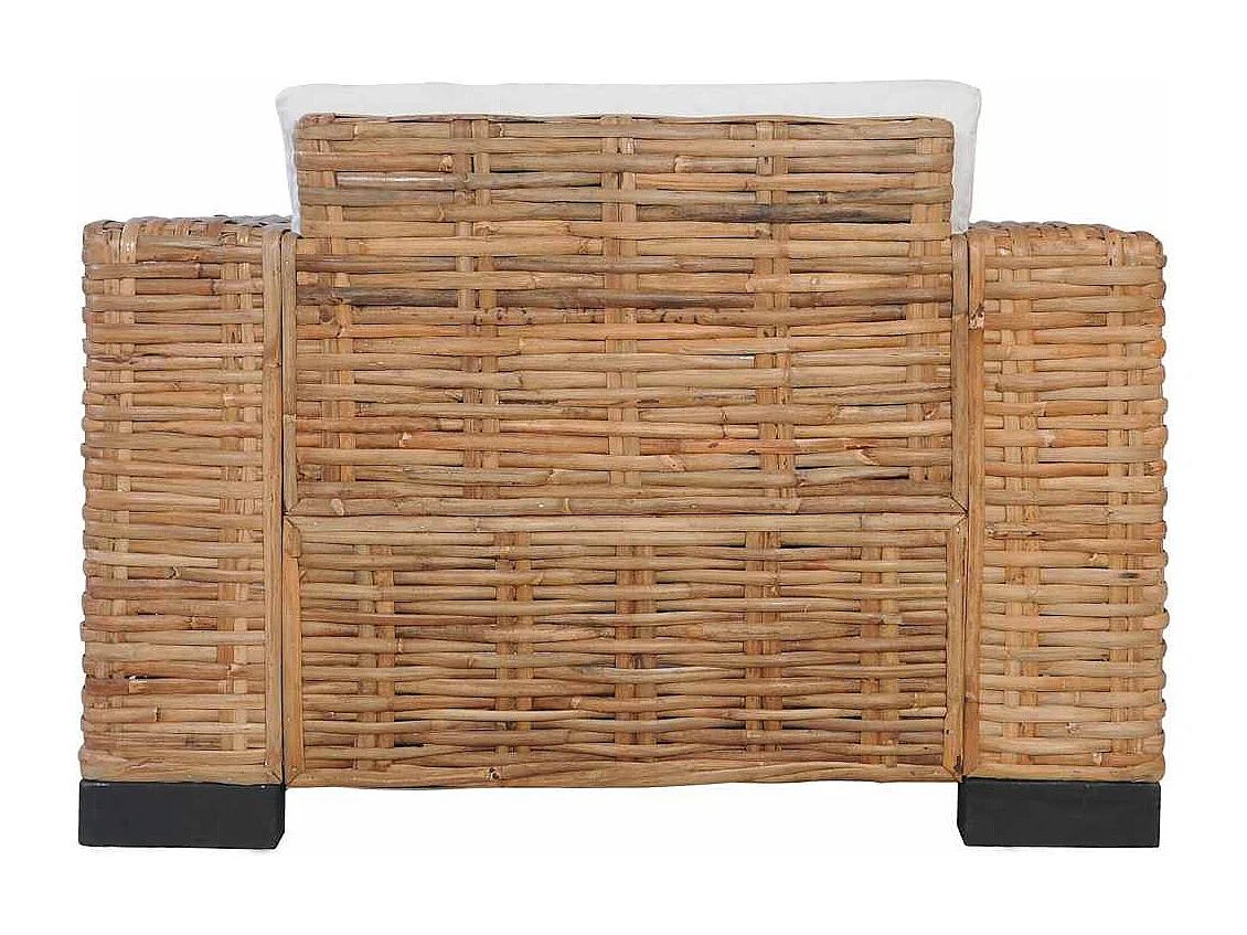 Fauteuil met kussens natuurlijk rattan