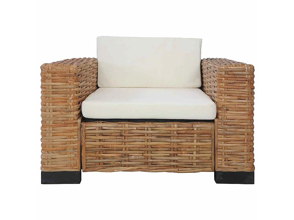 Fauteuil met kussens natuurlijk rattan