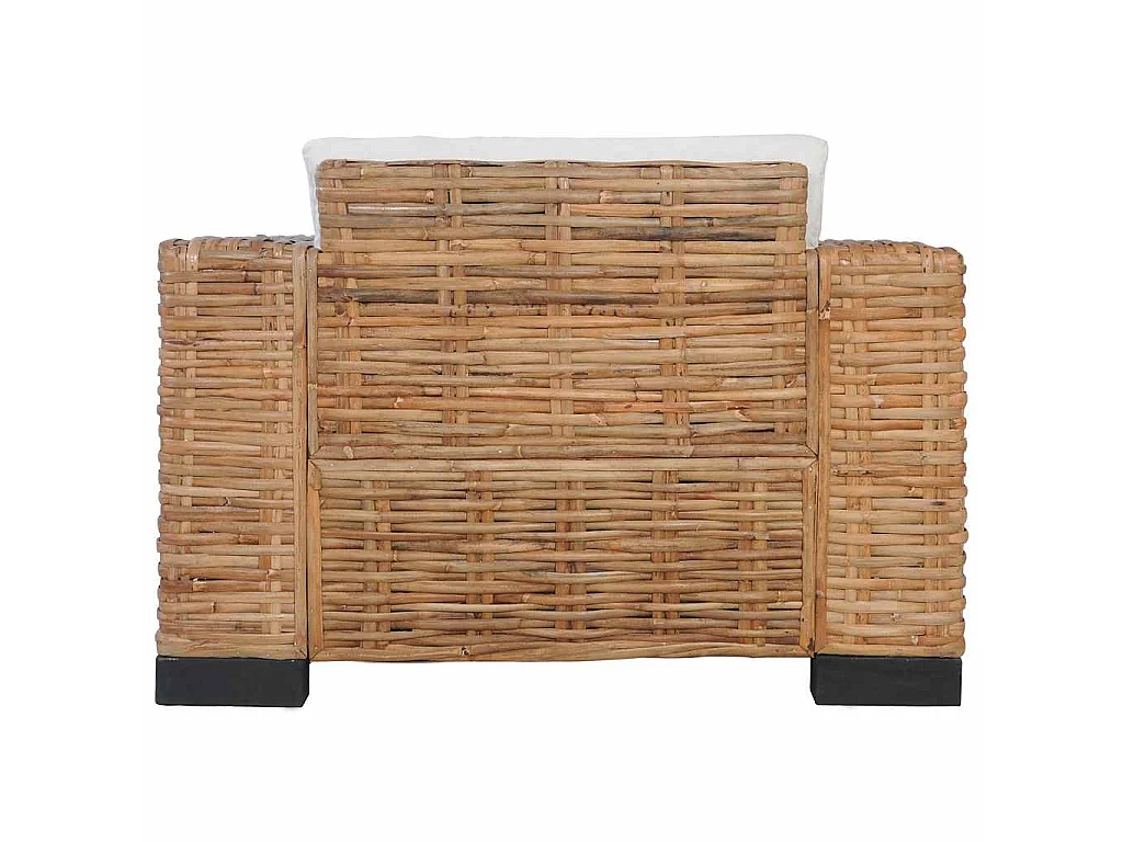Fauteuil met kussens natuurlijk rattan