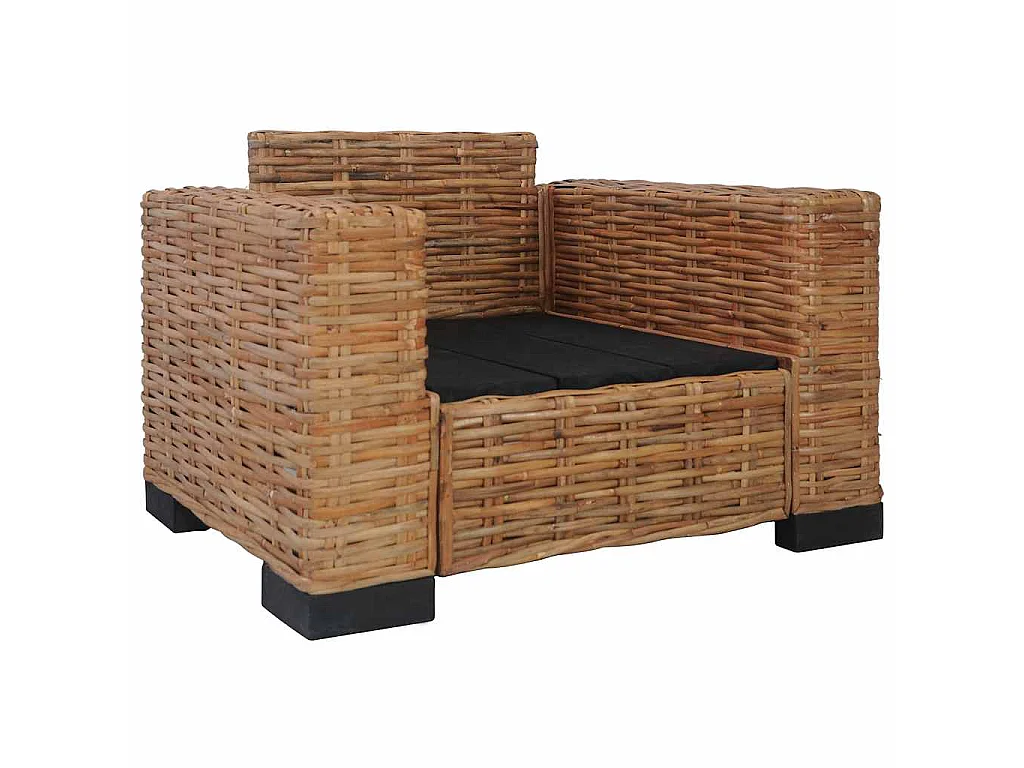 Fauteuil met kussens natuurlijk rattan