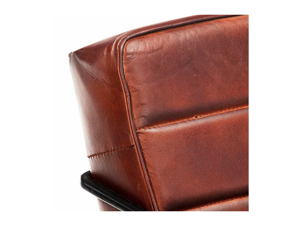 Fauteuil Marron foncé Cuir véritable