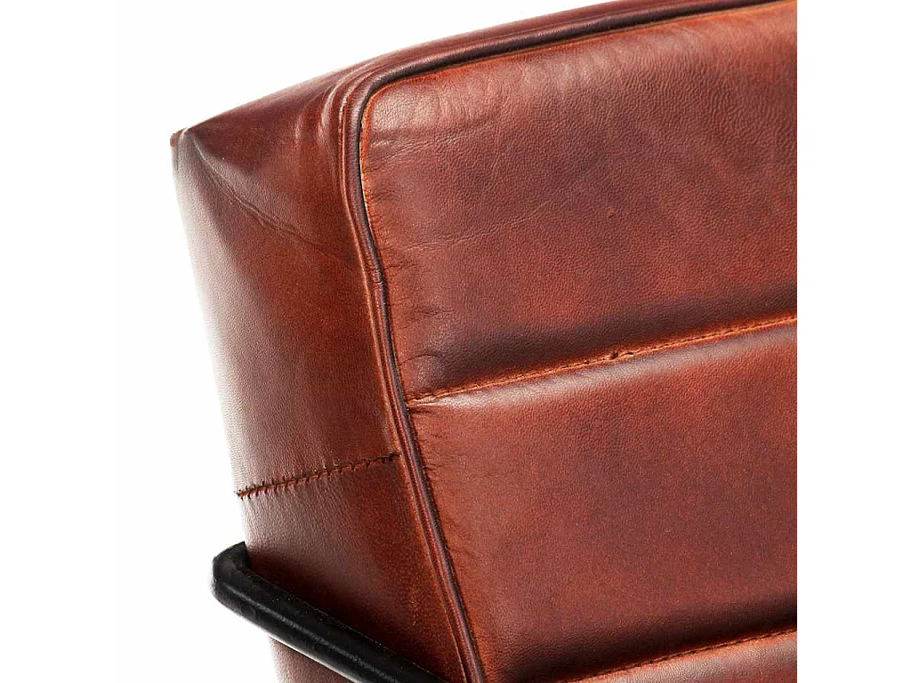 Fauteuil Marron foncé Cuir véritable