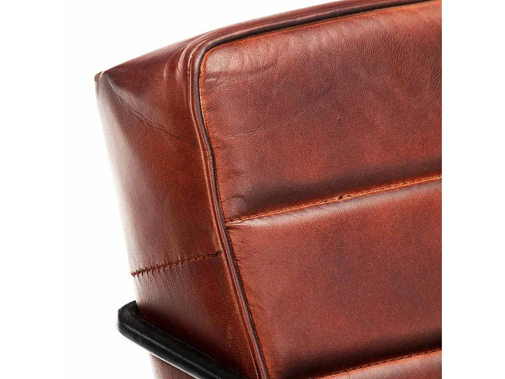 Fauteuil Marron foncé Cuir véritable