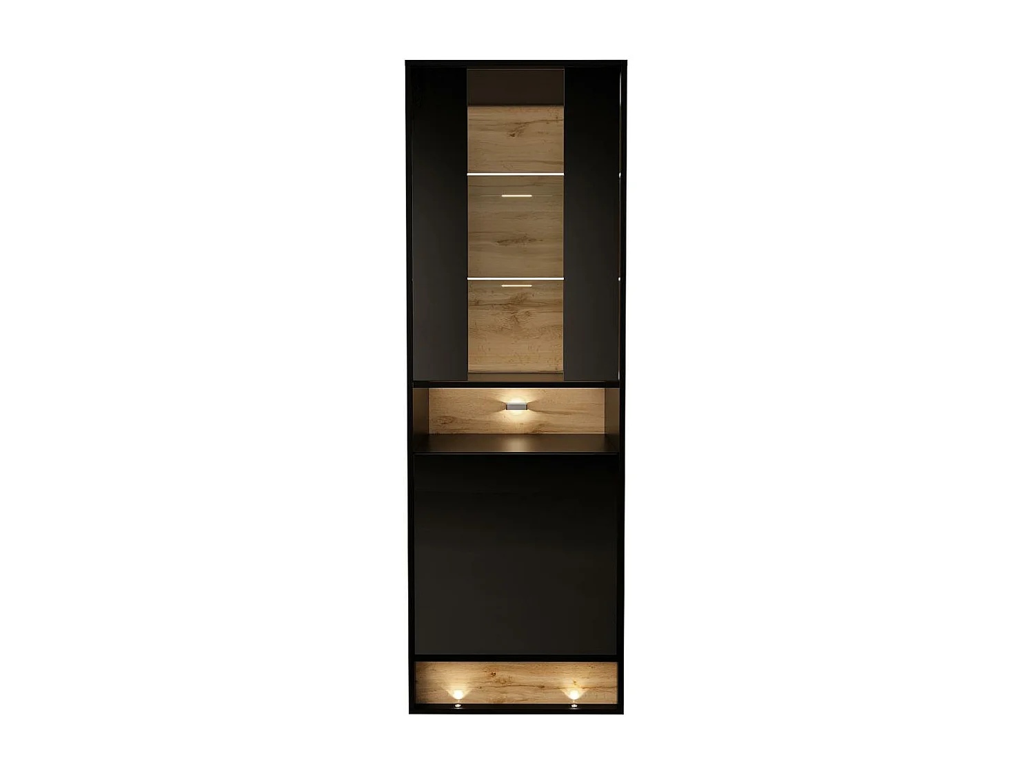 Vitrine VISION SC60 2D 60x40x180 Preto