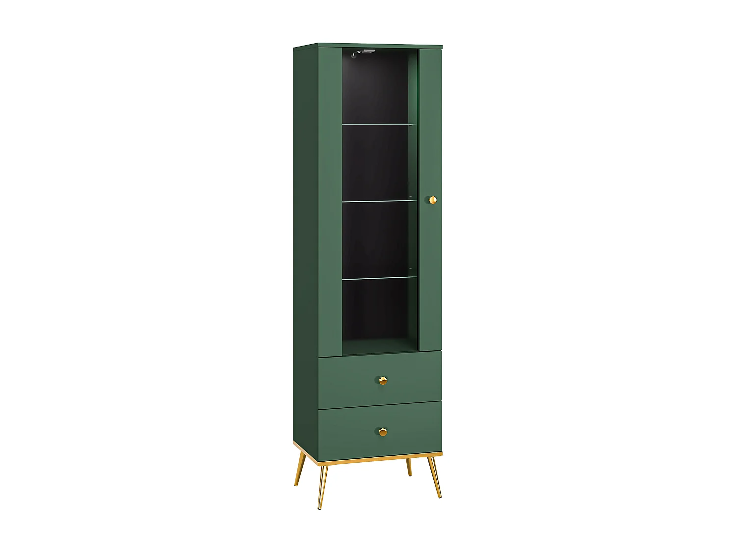 Vitrine FORT SC55 1D2D 55x40x190 Vert