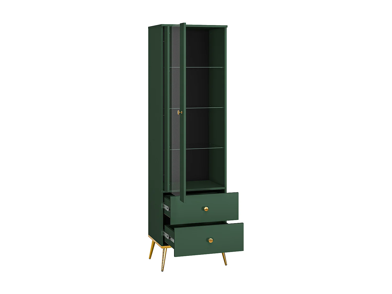 Vitrine FORT SC55 1D2D 55x40x190 Vert