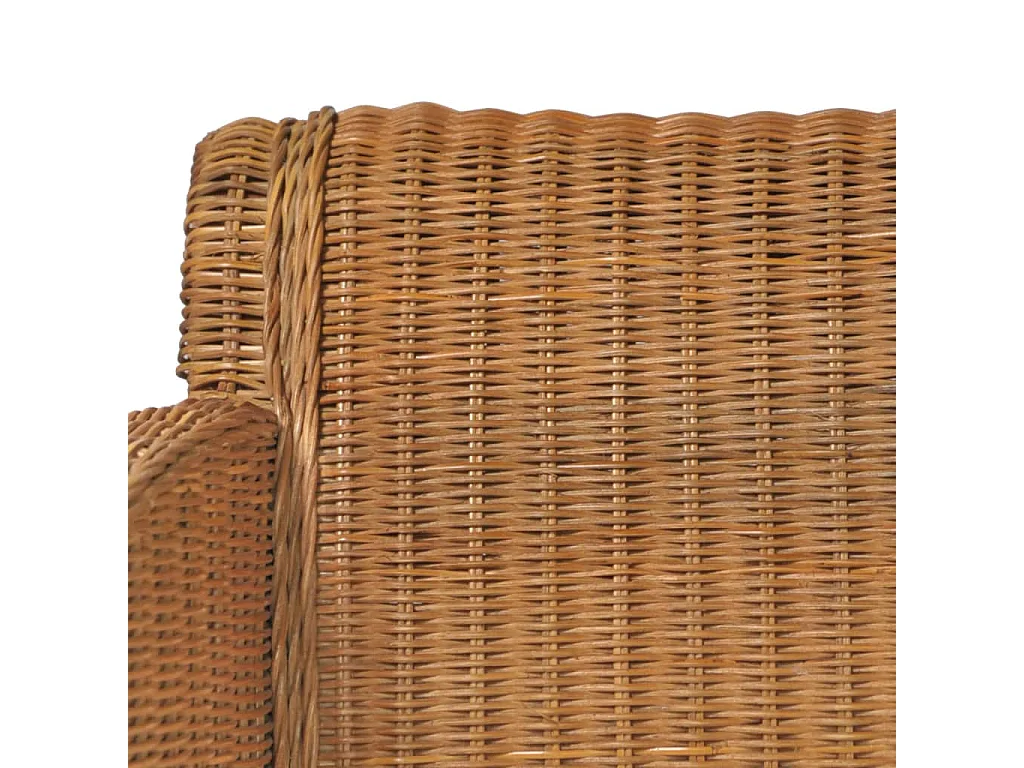 Esszimmerstühle mit Kissen 2 Stk. Hellbraun Natur Rattan