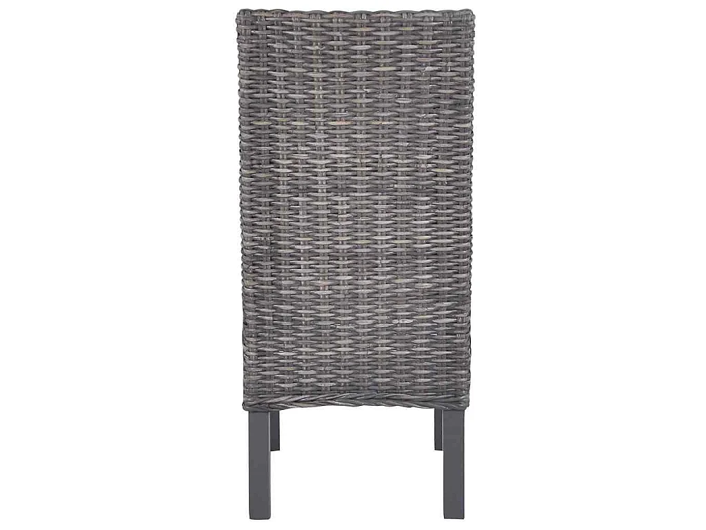 Chaises à manger lot de 2 marron rotin kubu et bois d'acajou