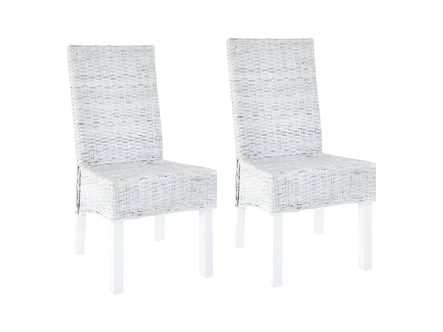 Chaises à manger lot de 2 rotin kubu et bois de manguier