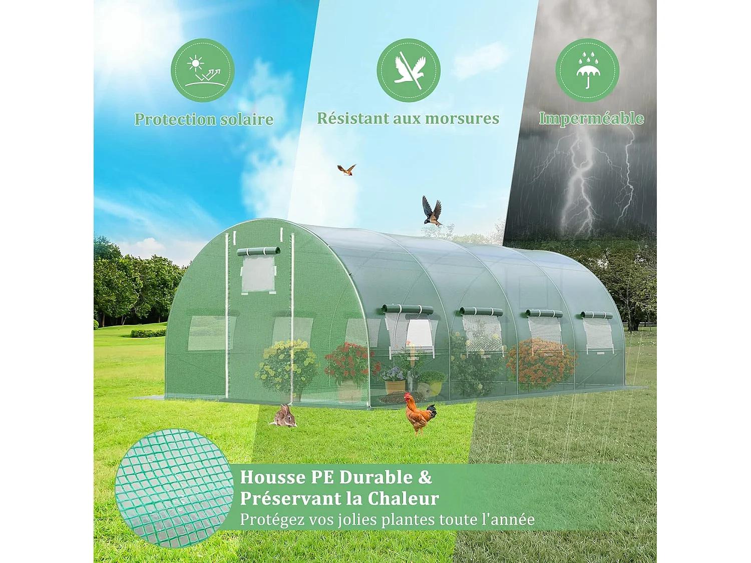 Serre de Jardin Tunnel 600x300x200 CM Cadre en Acier Galvanisé Robuste, Serre Tunnel Coupe-Vent avec Cerceau 8 Fenêtres Enroulables 2 Portes Zippées