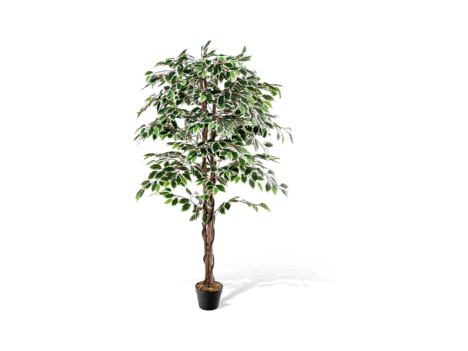 Plante Artificielle de 160CM avec Pot Rempli de Ciment, Ficus Artificiel avec 1008 Feuilles Tronc Réaliste Mousse Séchée, Fausse Arbre Décoration du Magasin Bureau