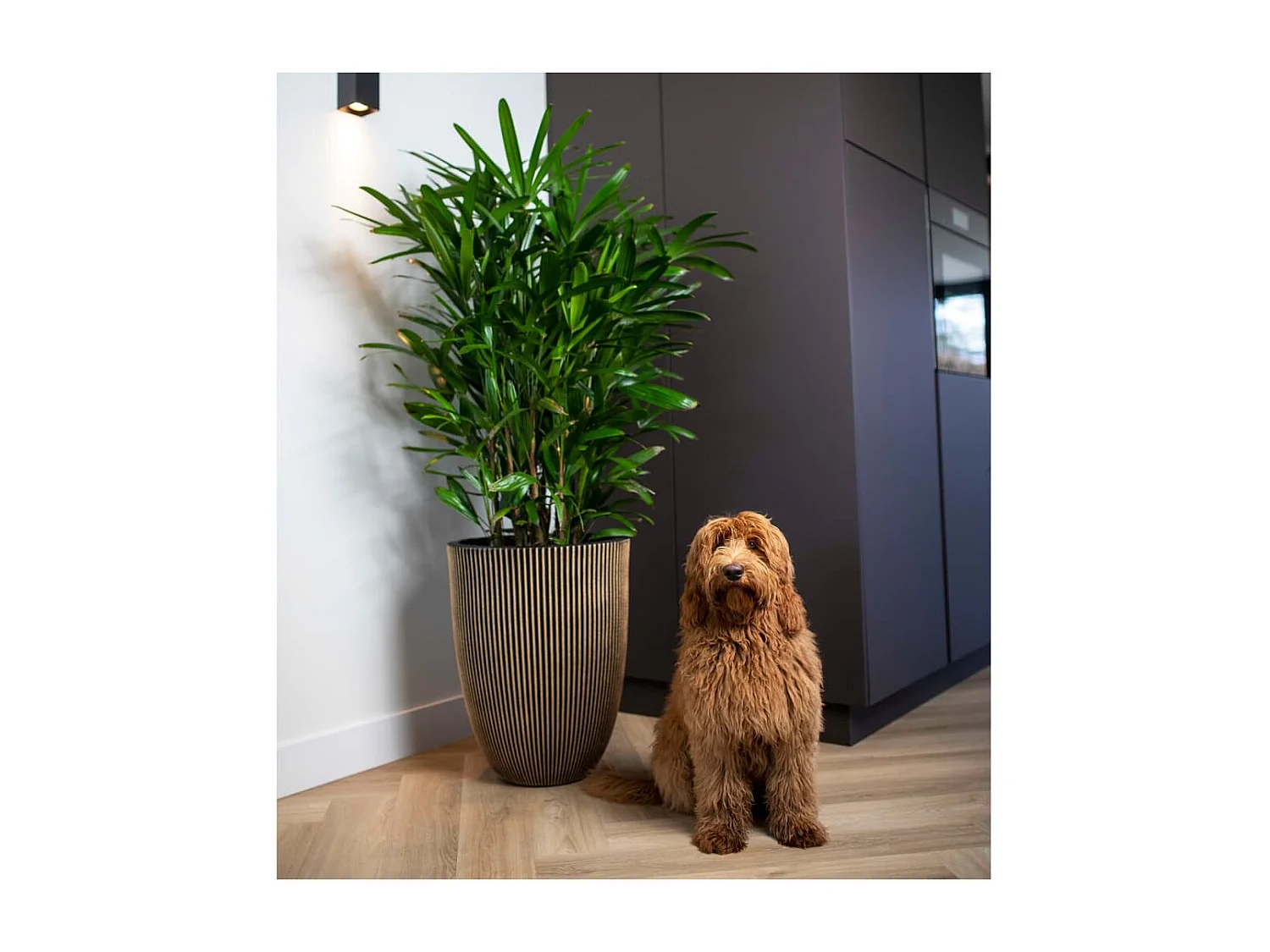 Jarrón elegante Groove negro y dorado 46x58 cm