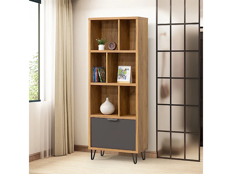 Bibliothèque 6 niches 1 porte Harry