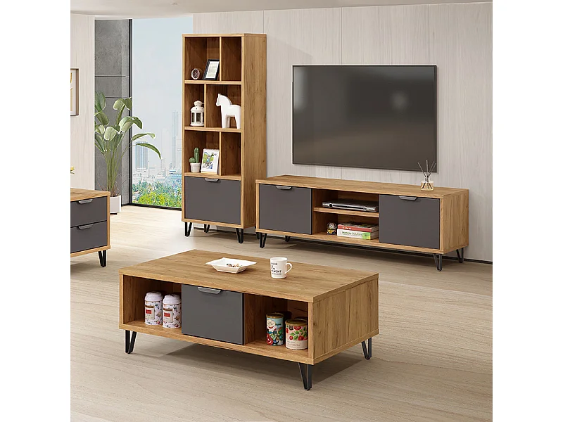 Bibliothèque 6 niches 1 porte Harry