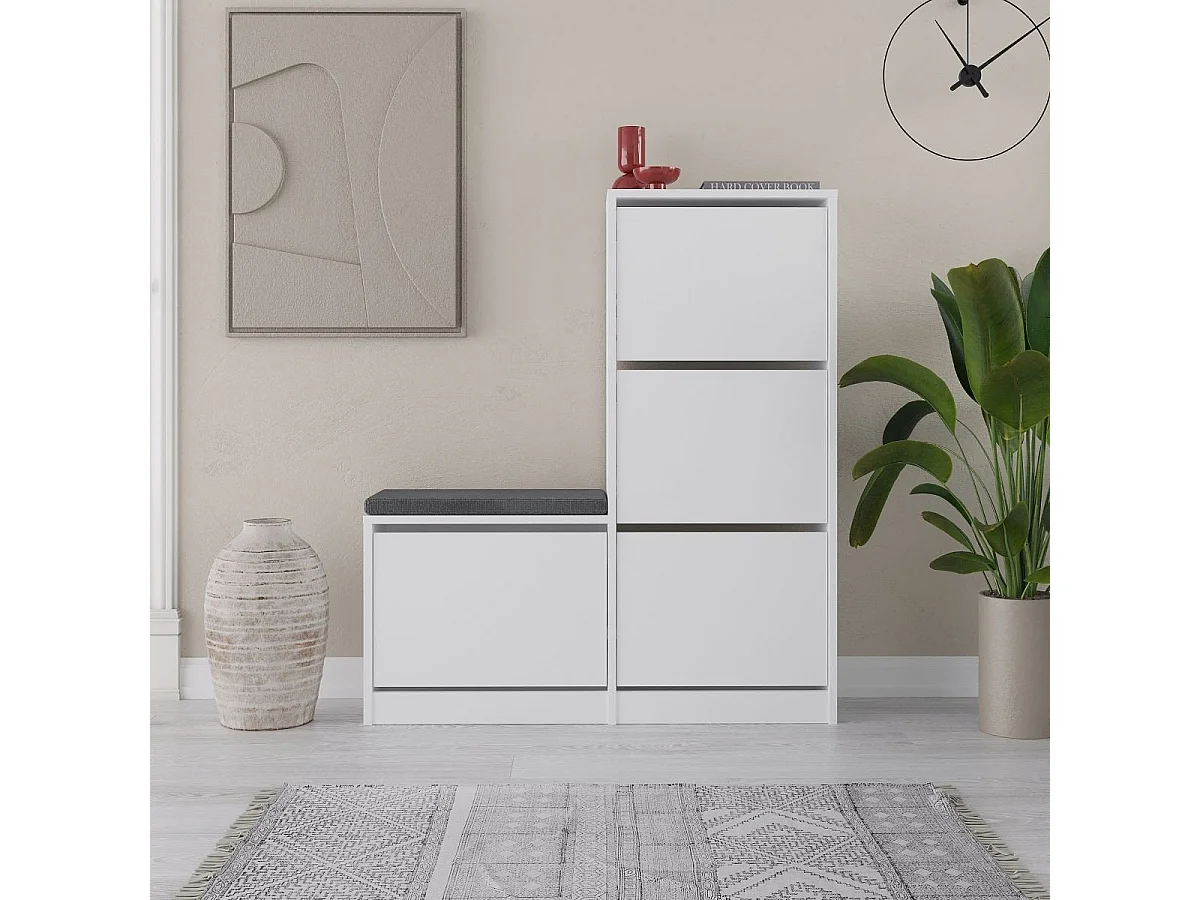 Schoenenkast 4 deuren L105 cm - Dude