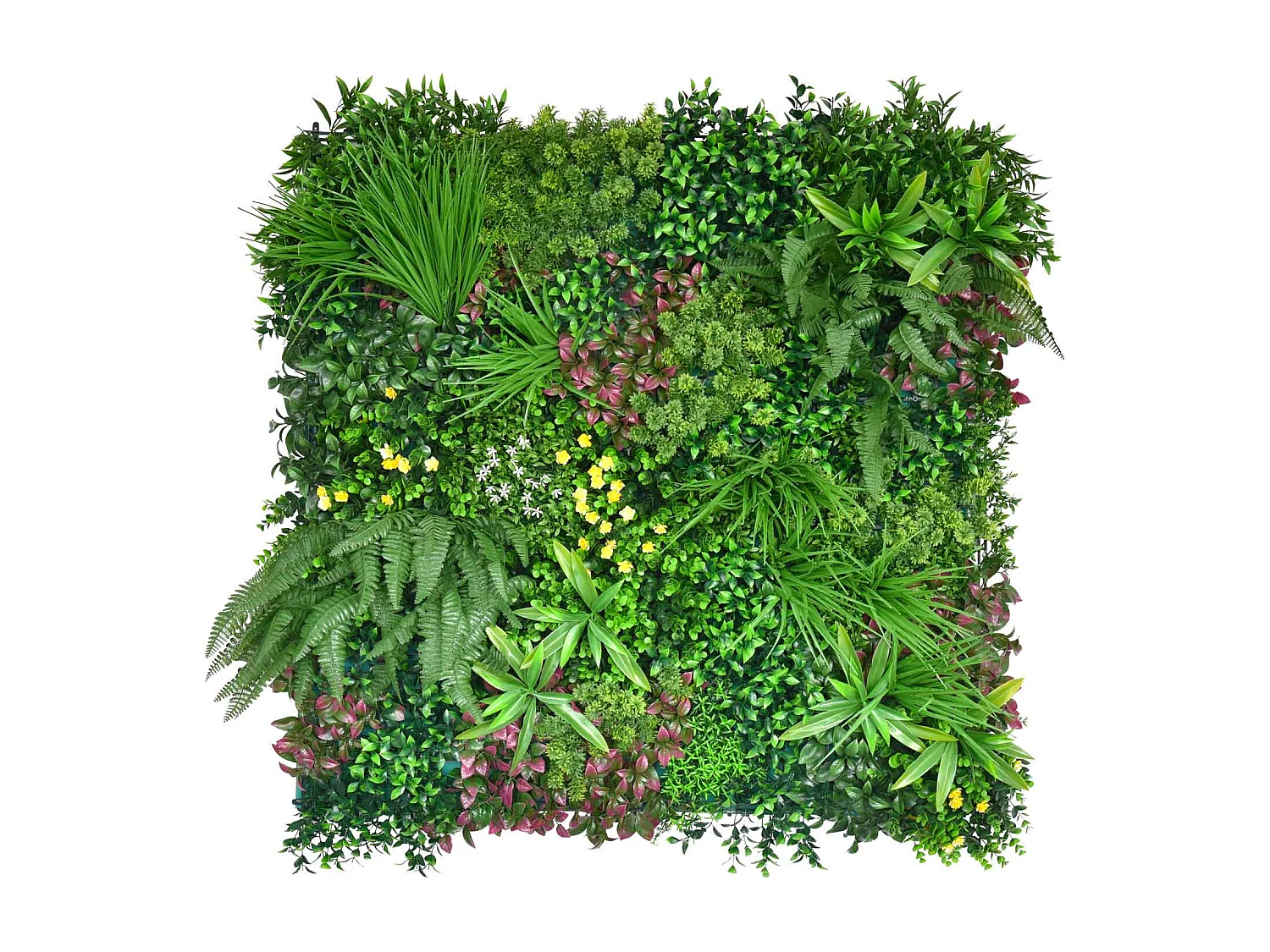 Dream - Giardino verticale con foglie e fiori, pannello 100x100 cm