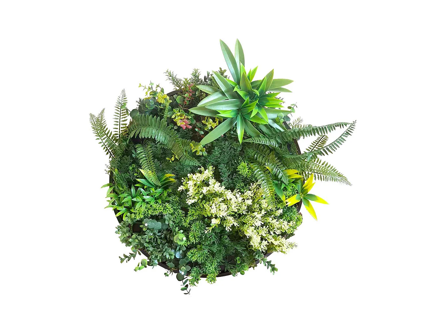 Mowgli - Cuadro vegetal redondo con marco de aluminio negro, Ø 50 cm