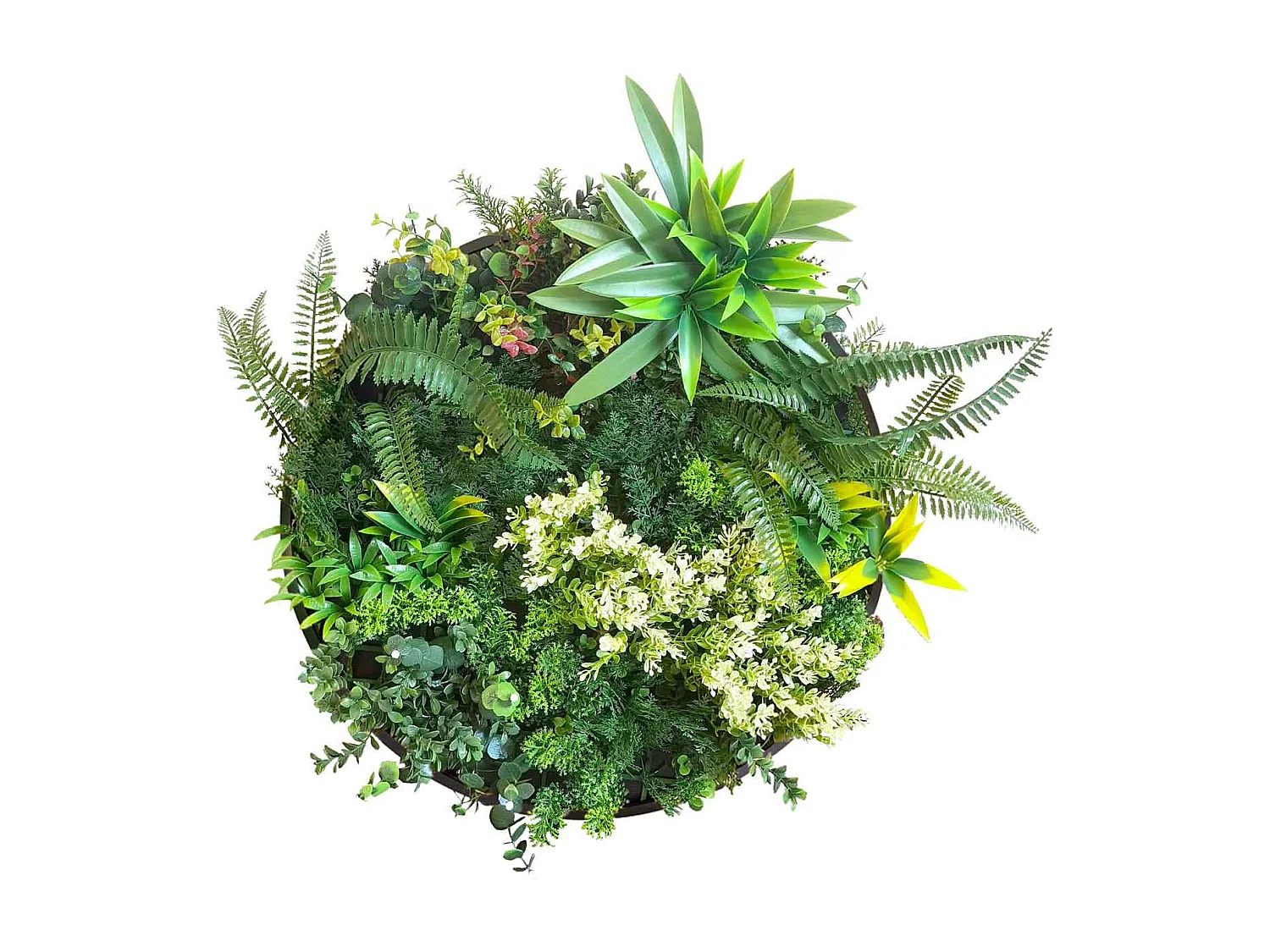 Mowgli - Quadro vegetale con foglie e fiori, cornice nera in alluminio, Ø 50 cm