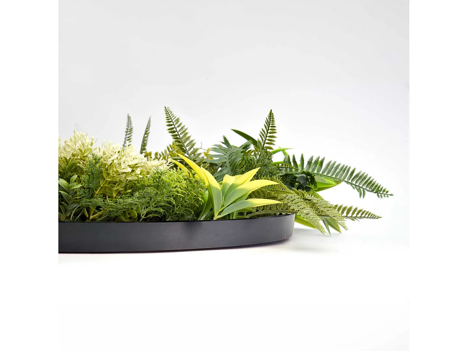 Mowgli - Quadro vegetale con foglie e fiori, cornice nera in alluminio, Ø 50 cm