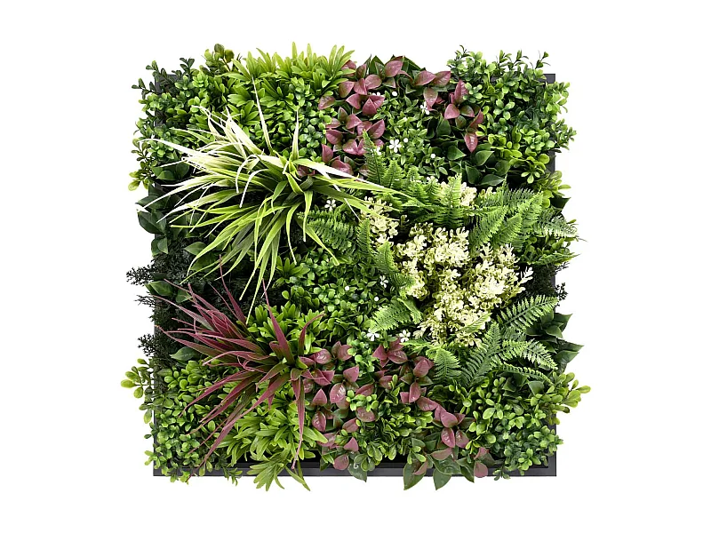 Liana - Quadro vegetale con foglie e fiori, cornice nera in PVC, 50x50 cm