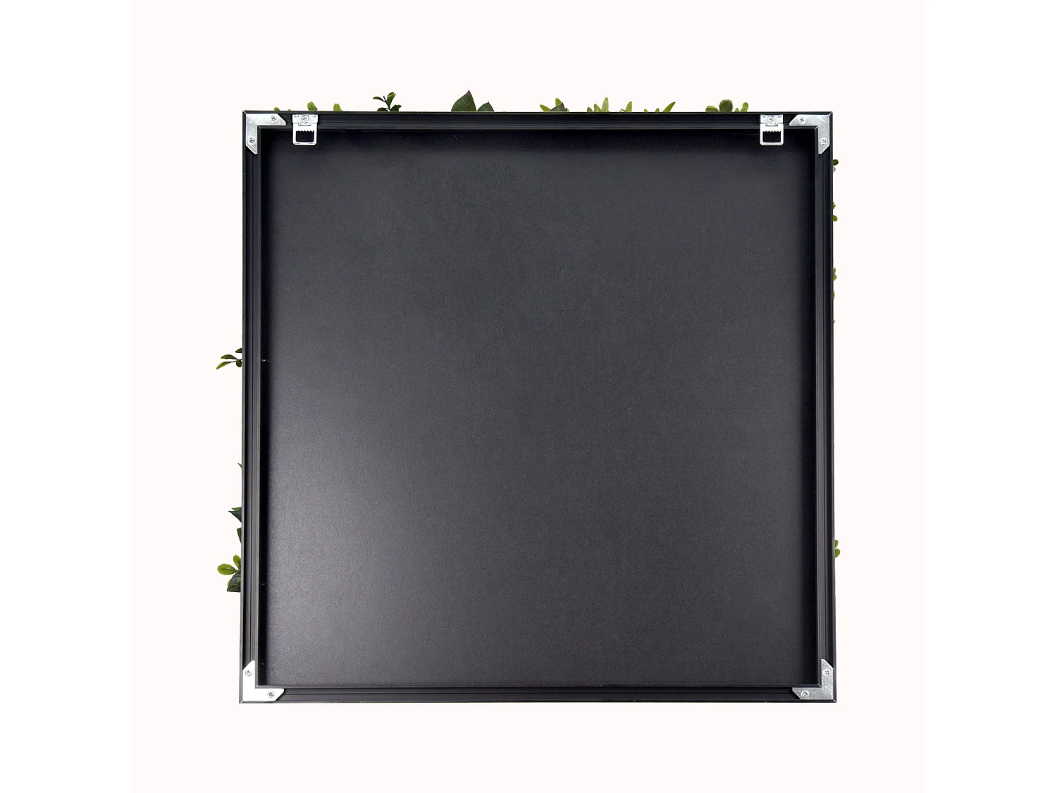 Liana - Cuadro vegetal con marco de PVC negro, 50x50 cm