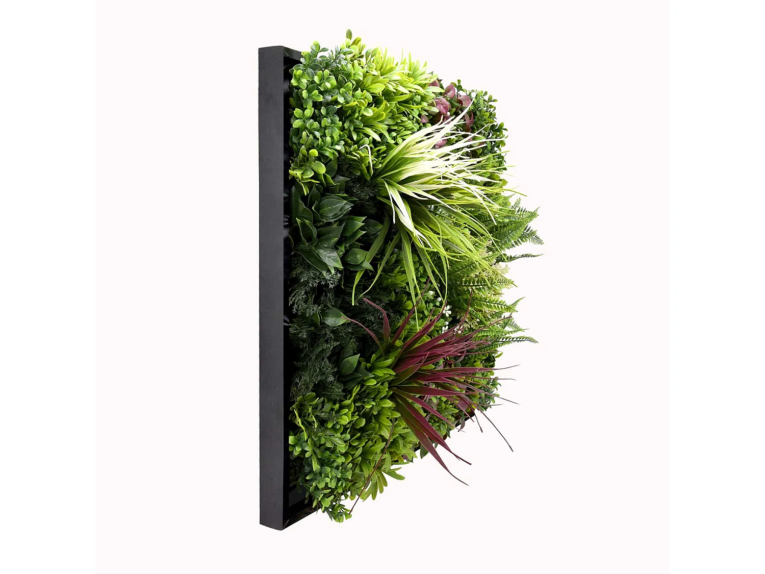 Liana - Cuadro vegetal con marco de PVC negro, 50x50 cm