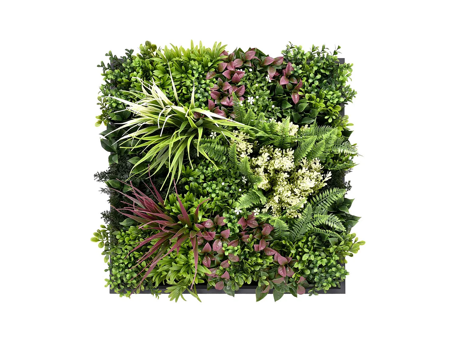 Liana - Painel de parede de relva artificial, painel com quadro preto do PVC 50x50cm