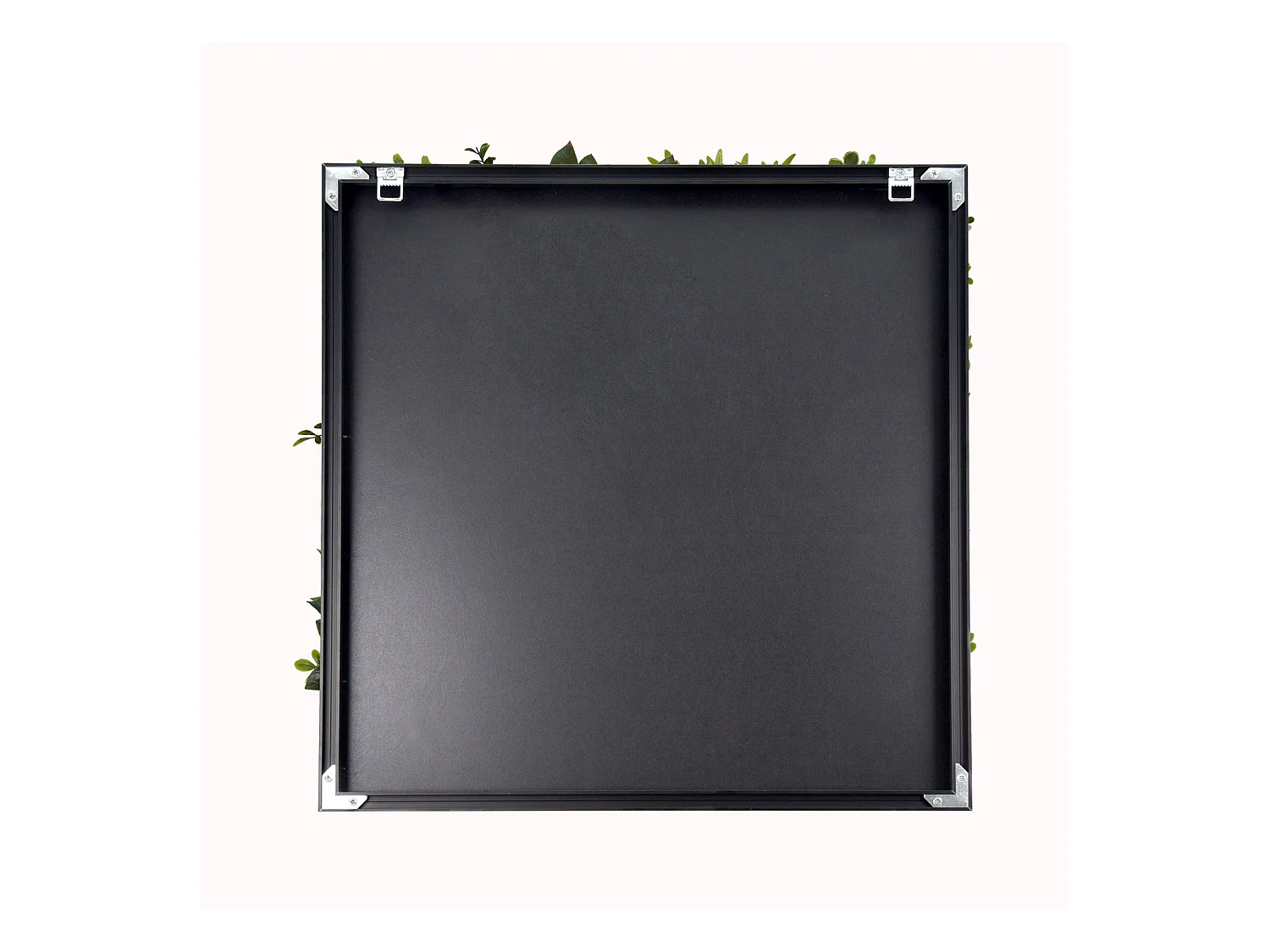 Liana - Painel de parede de relva artificial, painel com quadro preto do PVC 50x50cm