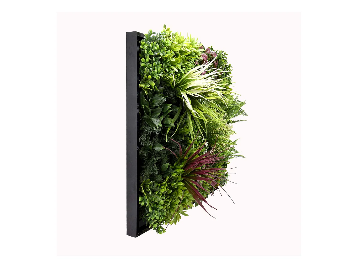 Liana - Painel de parede de relva artificial, painel com quadro preto do PVC 50x50cm