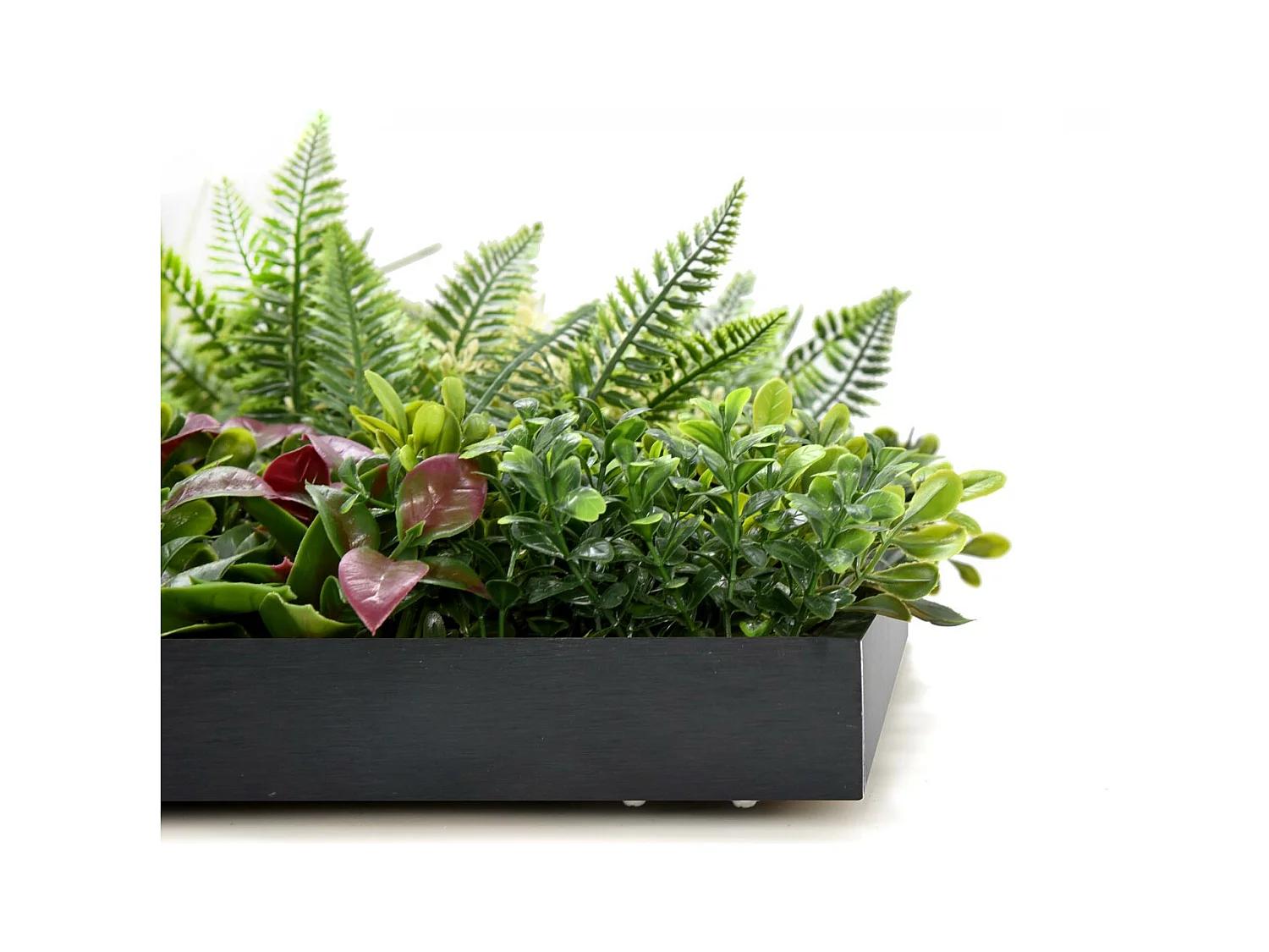 Liana - Painel de parede de relva artificial, painel com quadro preto do PVC 50x50cm