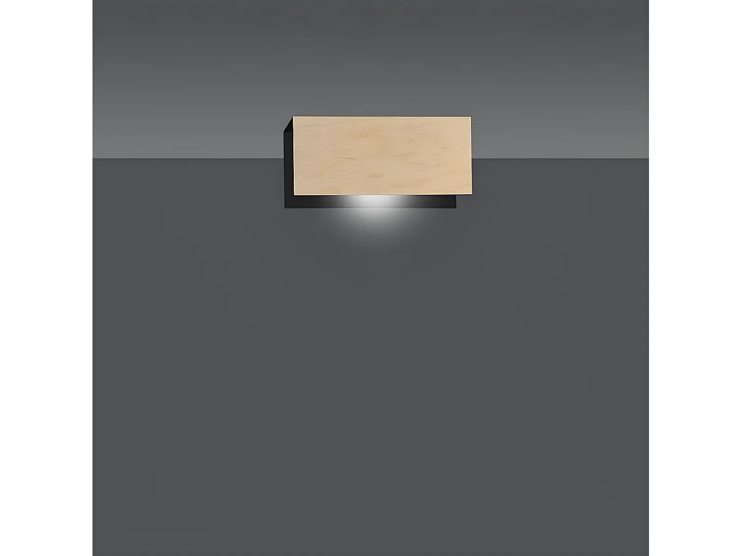 Wandlamp Carlo, Zwart, 24x10x6 cm, Epikasa