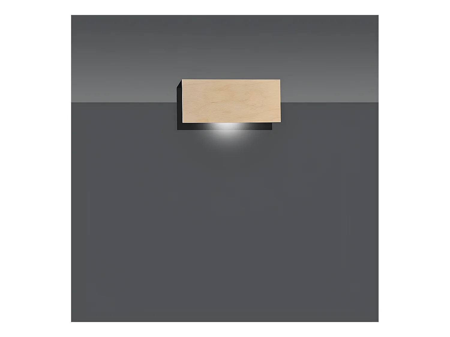 Wandlamp Carlo, Zwart, 24x10x6 cm, Epikasa