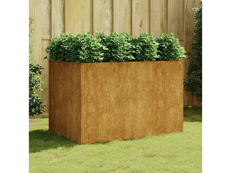 Lit surélevé de jardin 120x80x80 cm acier corten