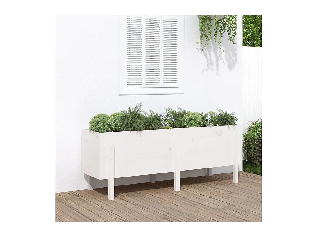 Canteiro elevado de jardim 160x50x57 cm pinho maciço branco