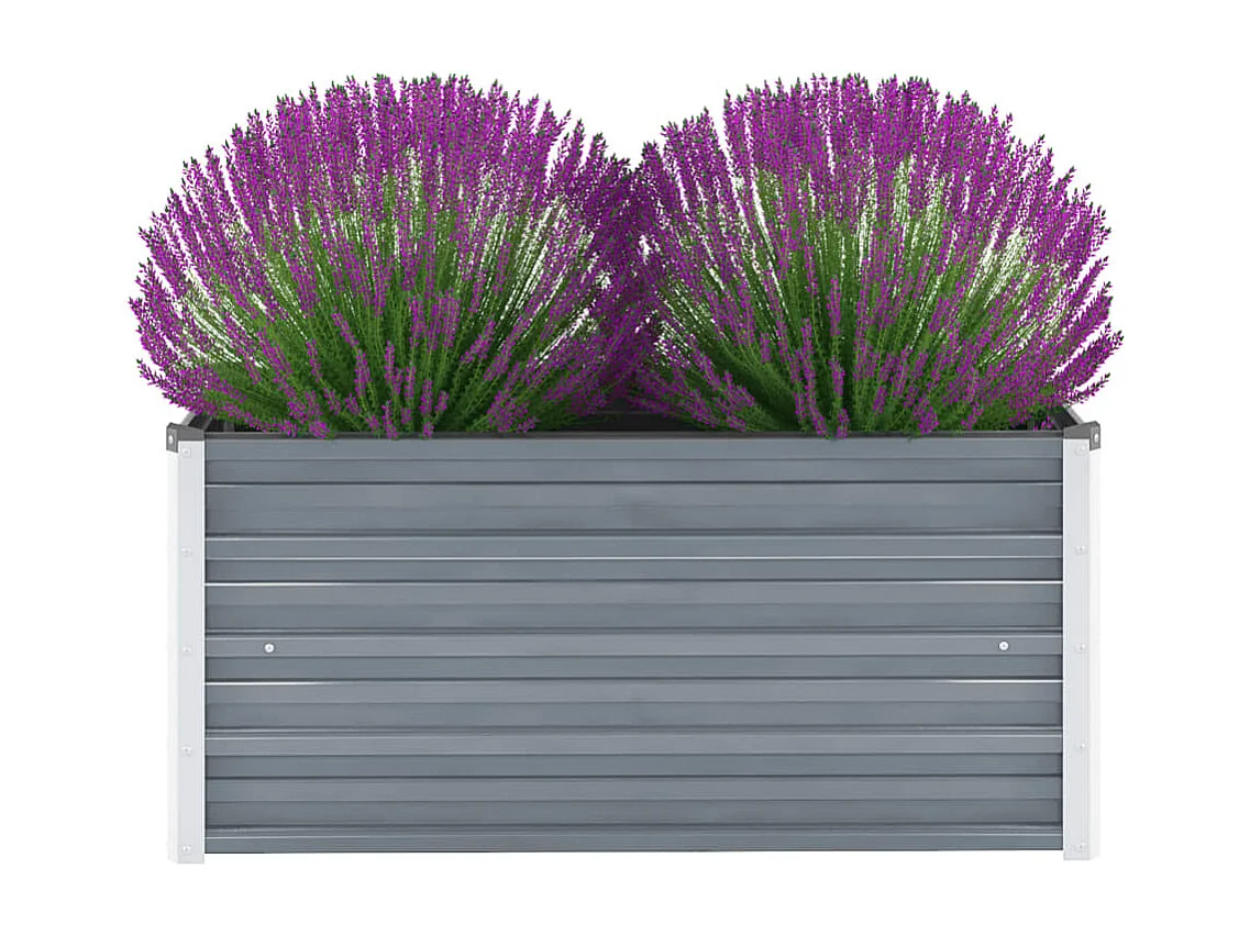 Lit surélevé de jardin Acier galvanisé 100x40x45 cm Gris